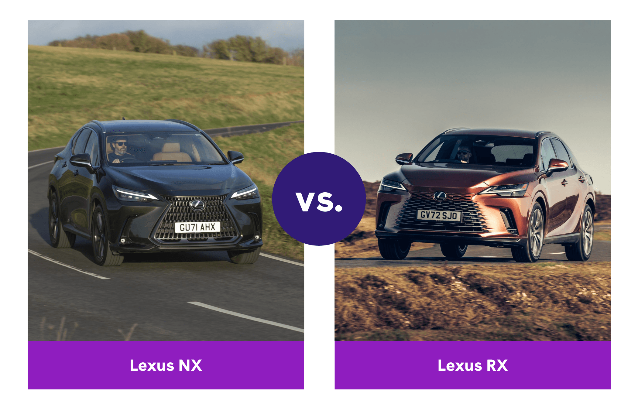 Side-by-side view of Lexus NX and Lexus RX driving