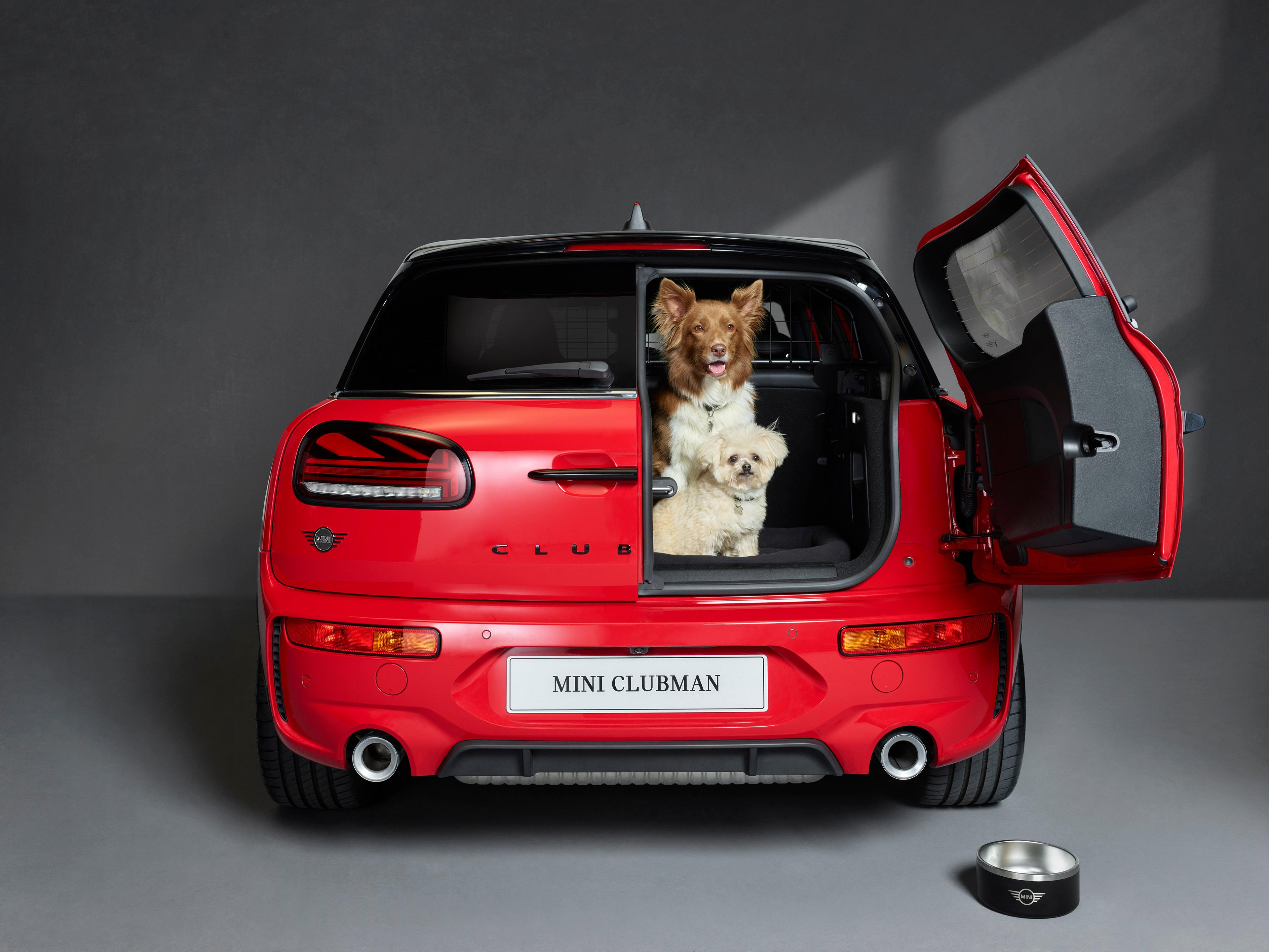 a red mini clubman with two dogs sat in the boot