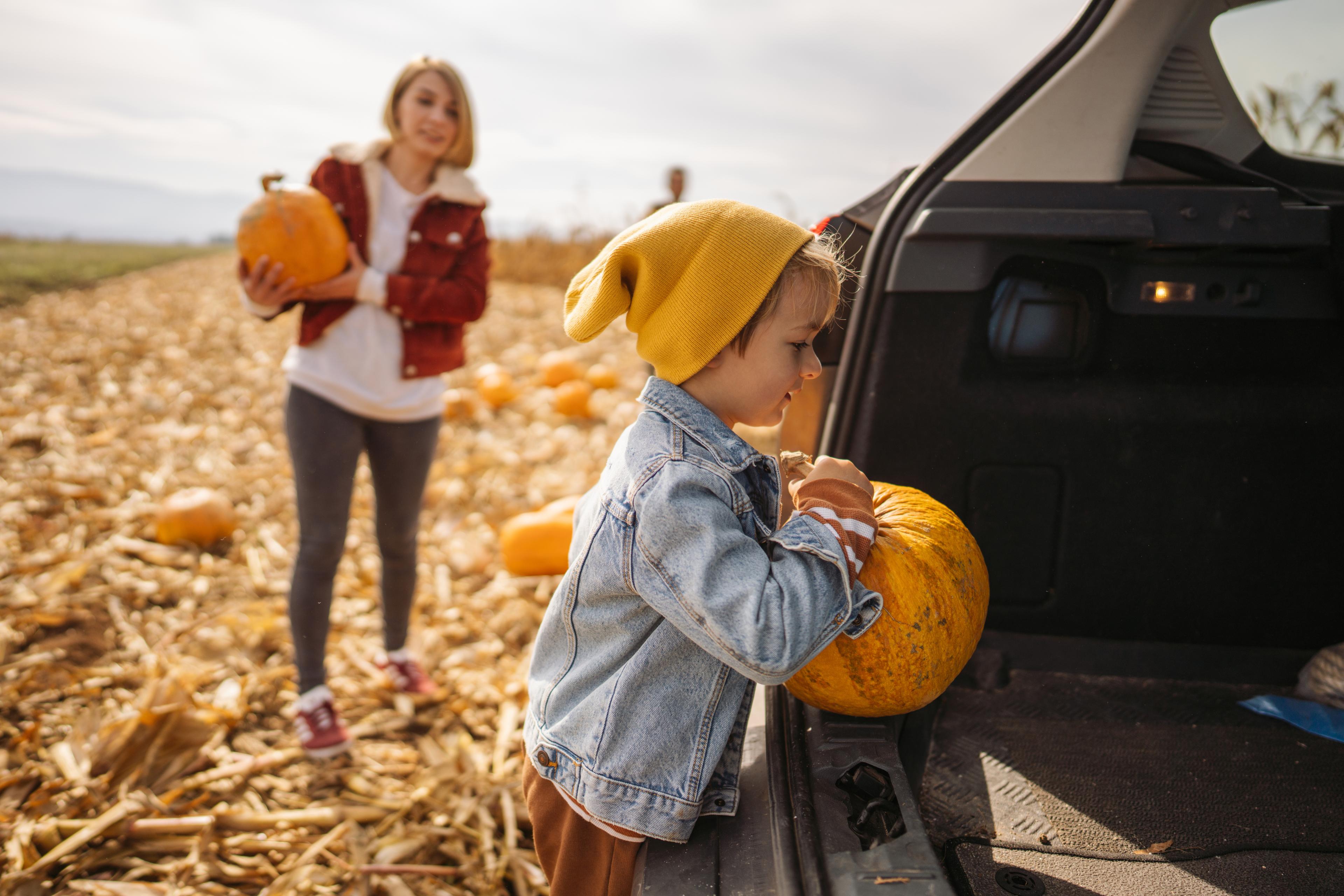 a kid putting a freshly picked pumpkin in the boot of a car, closely followed by his mother